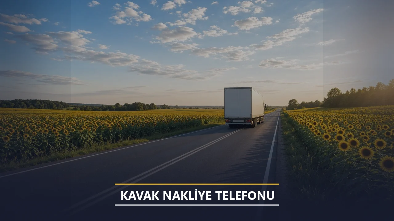 Kavak Nakliye Telefonu
